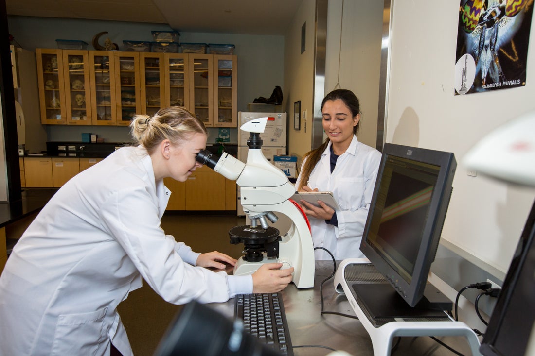 An image of two nursing students in lab coats. One is viewing a sample and the other is standing taking notes